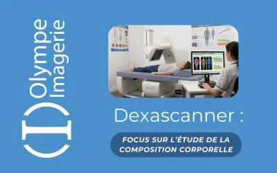 Dexascanner: focus sur l’étude de la composition corporelle