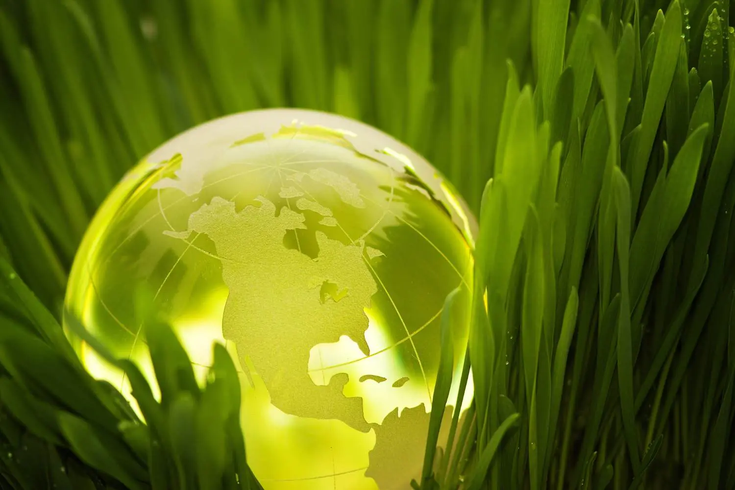 eco-responsabilite